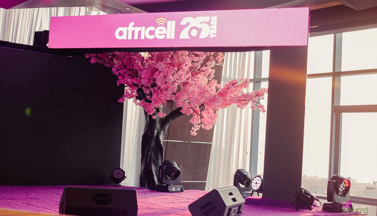 Cherry tree in blossom beneath an illuminated arch bearing the sign for the brand’s 25 years, beside the windows and stage lights