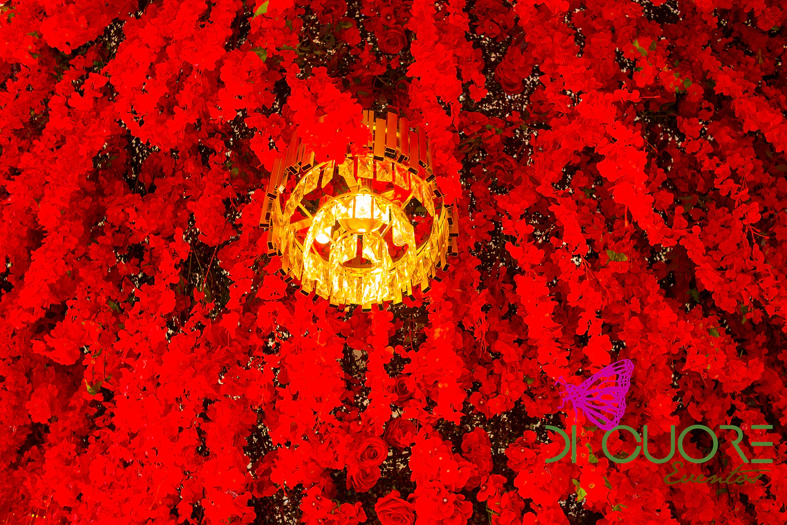 Detail of cascading red flowers with a golden light glowing at the centre
