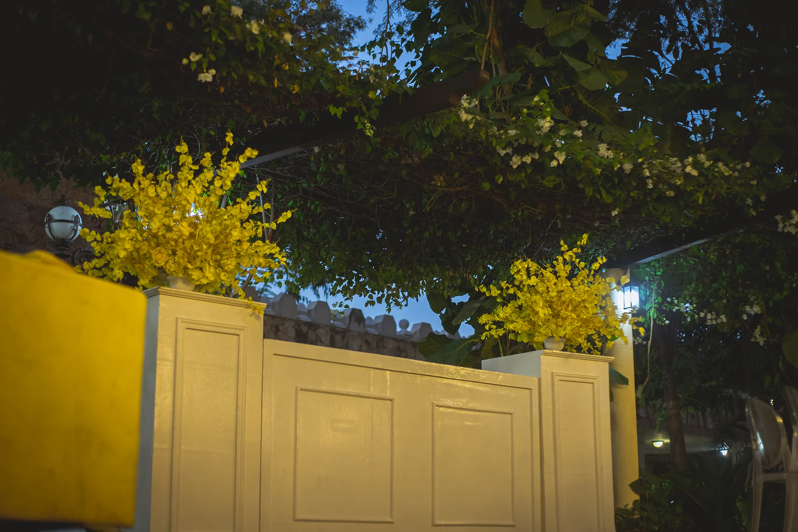 Dois arranjos de orquídeas amarelas sobre pilares brancos com painéis, sob folhagem e pequenas flores brancas