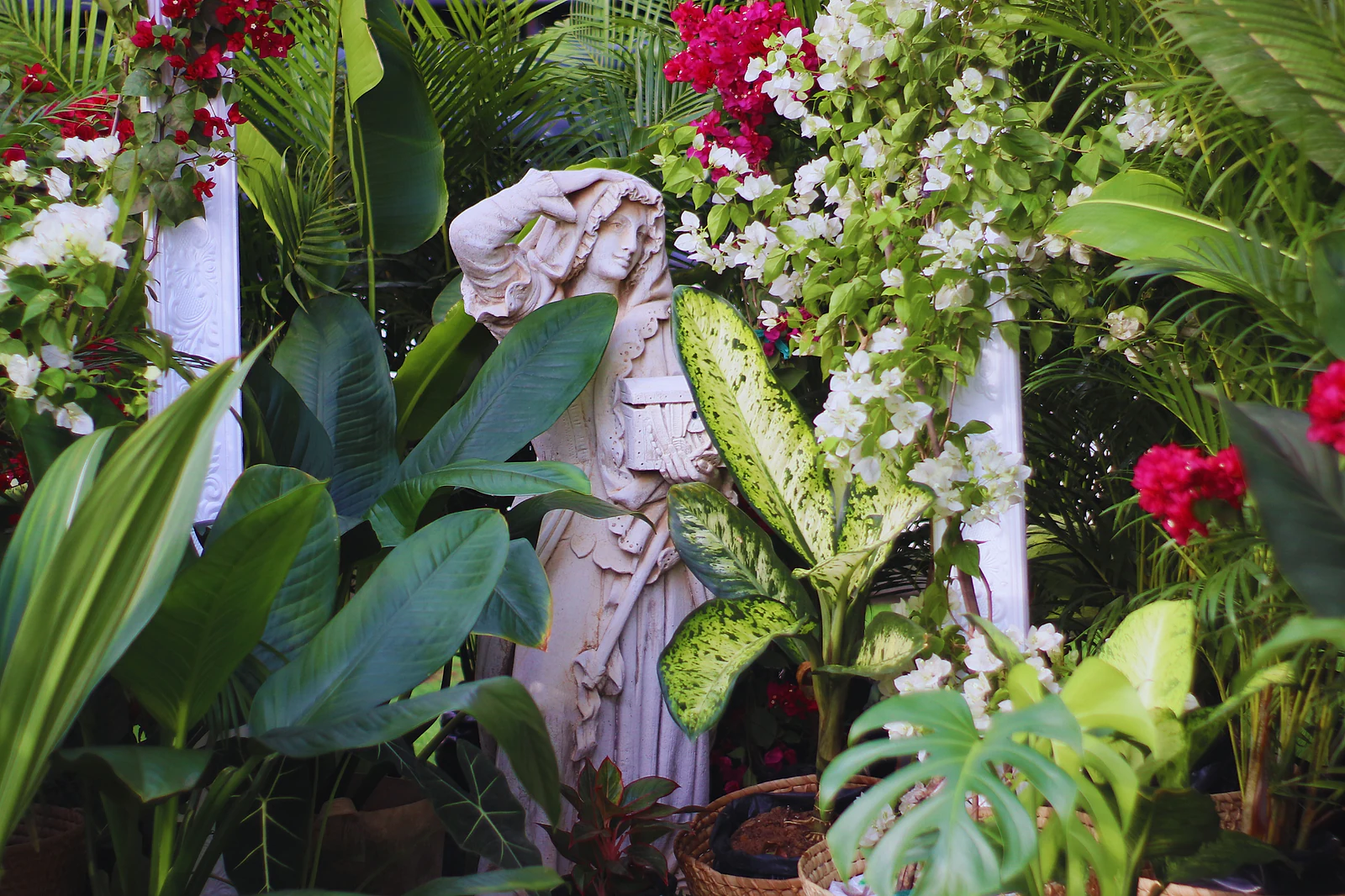 Jardim de plantas tropicais com flores vermelhas e uma escultura clássica
