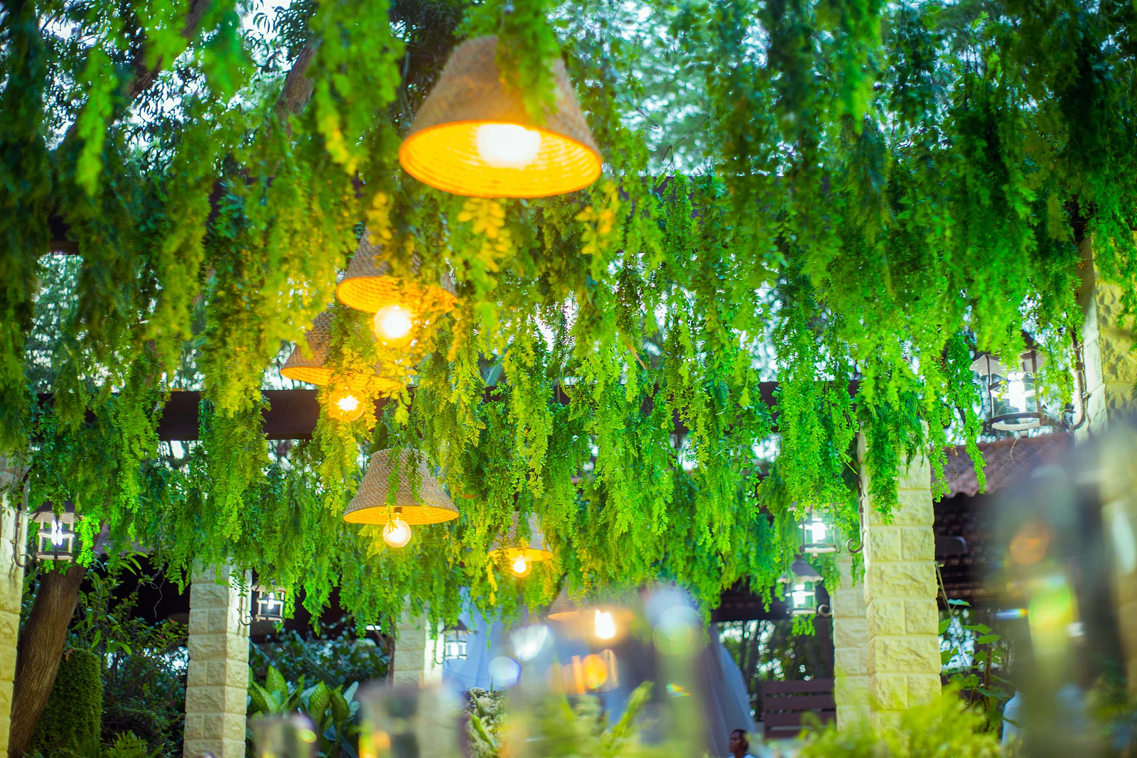 Lit straw lampshades beneath a curtain of hanging foliage at the end of the day
