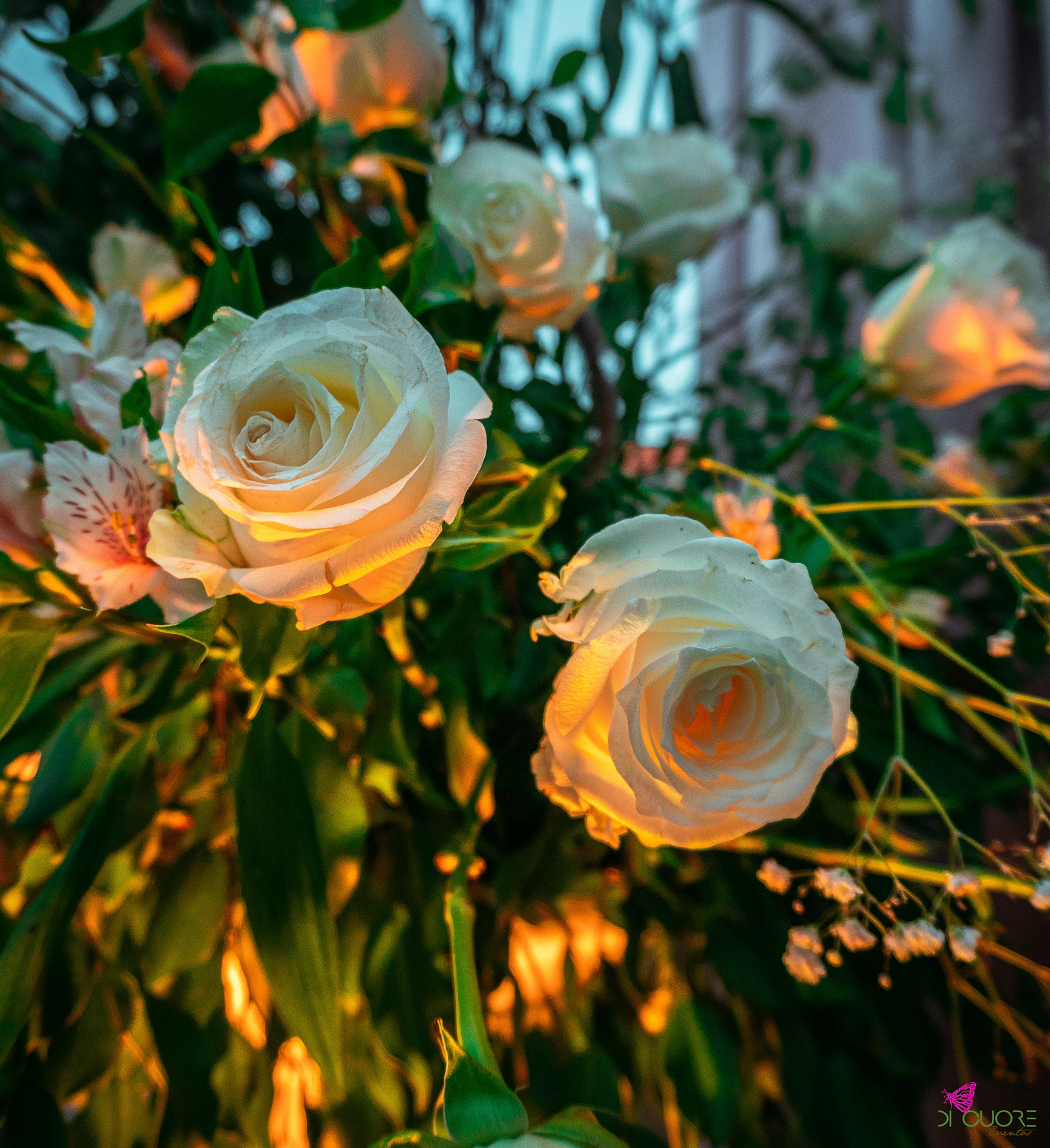 Rosas brancas com folhagem e gipsófila, iluminadas por uma luz âmbar ao entardecer