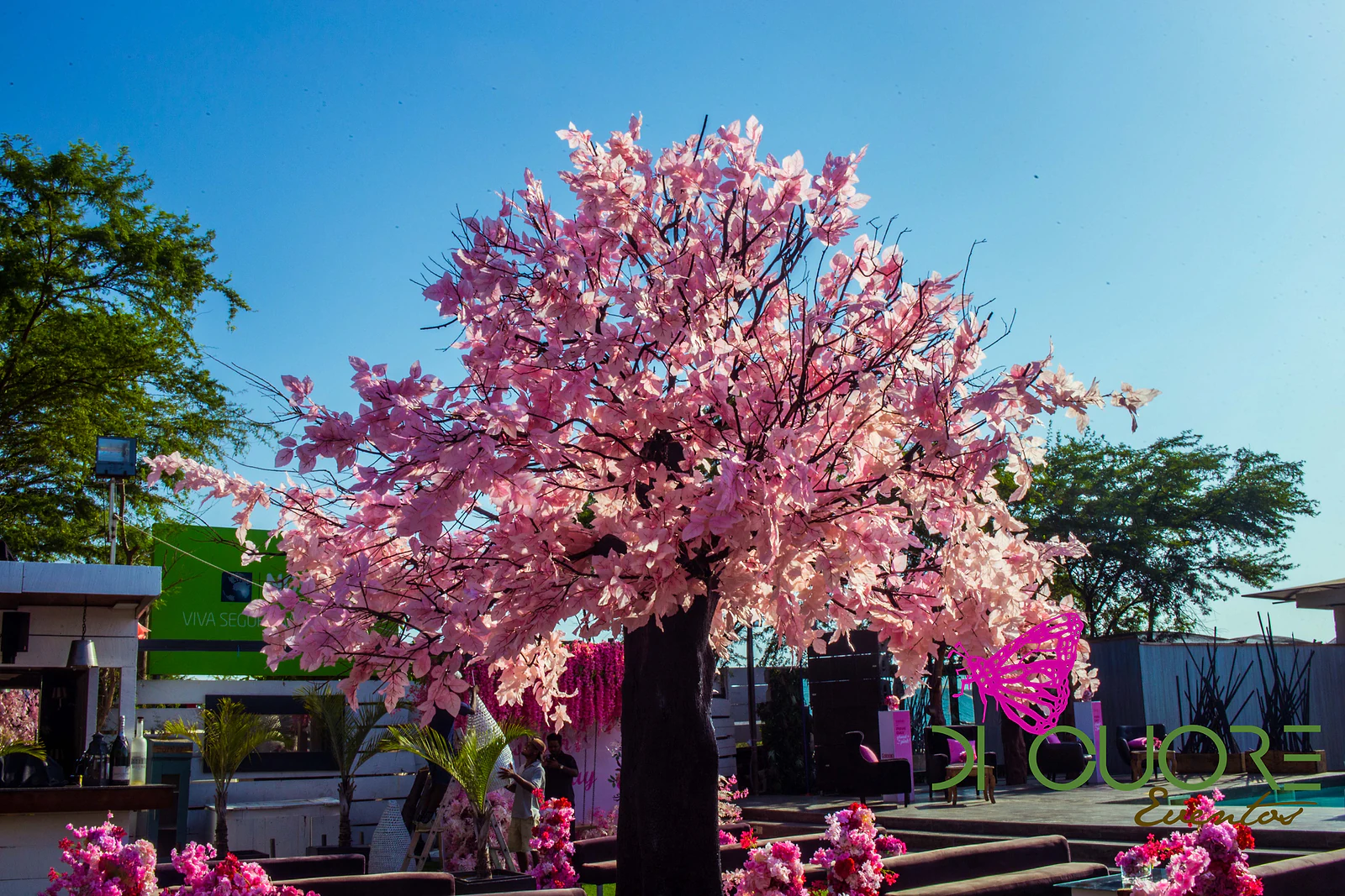 Cerejeira de flores cor-de-rosa pálido diante do céu azul, com bancos e arranjos rosa ao fundo