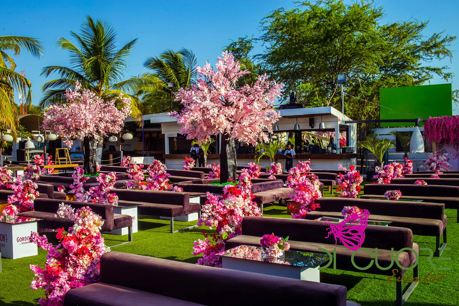 Filas de bancos de veludo castanho sobre o relvado, com cerejeiras de flores cor-de-rosa, palmeiras e pequenos arranjos fúcsia