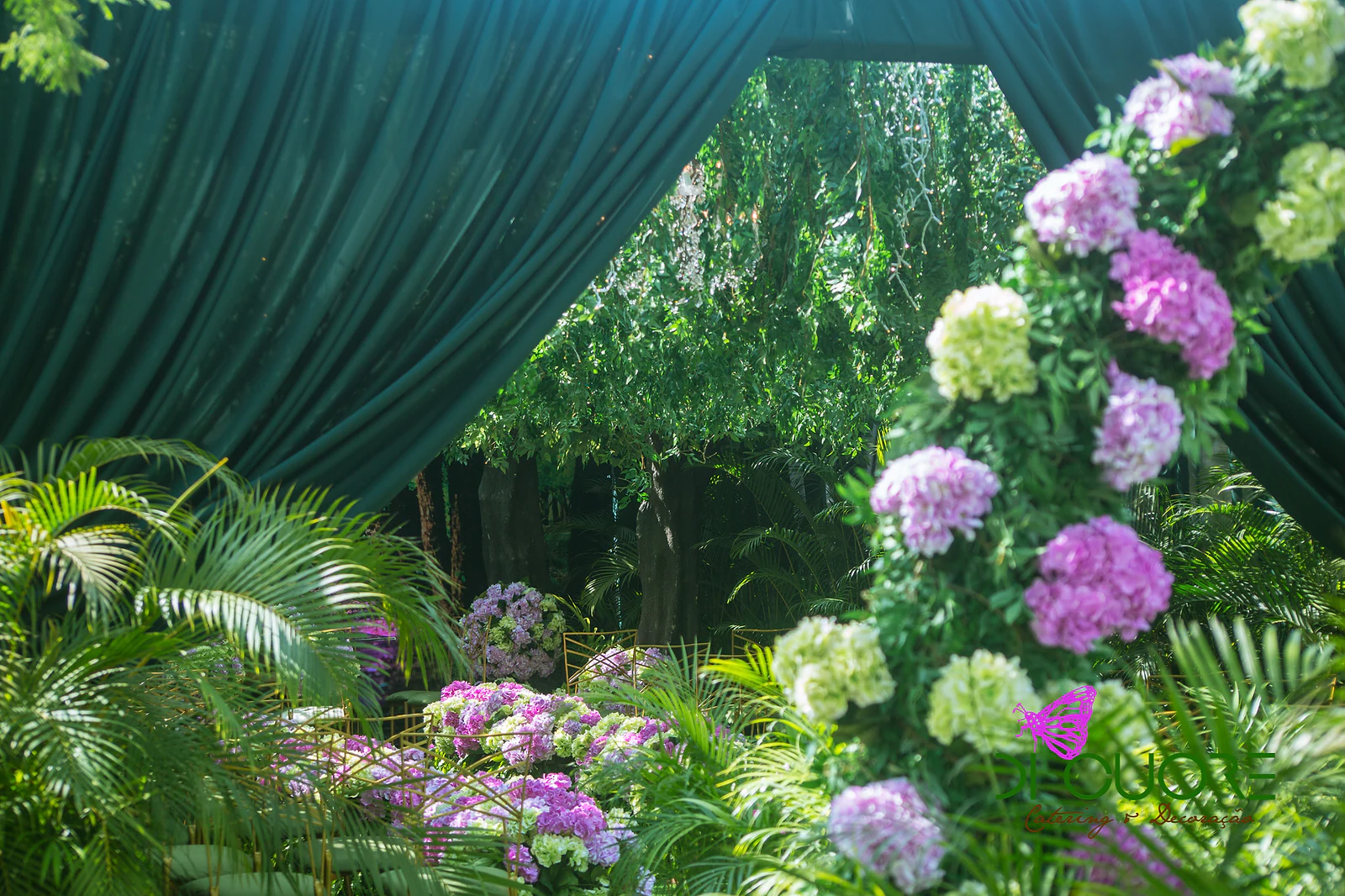 Dark green curtain and a column of lilac and lime-green hydrangeas among palms