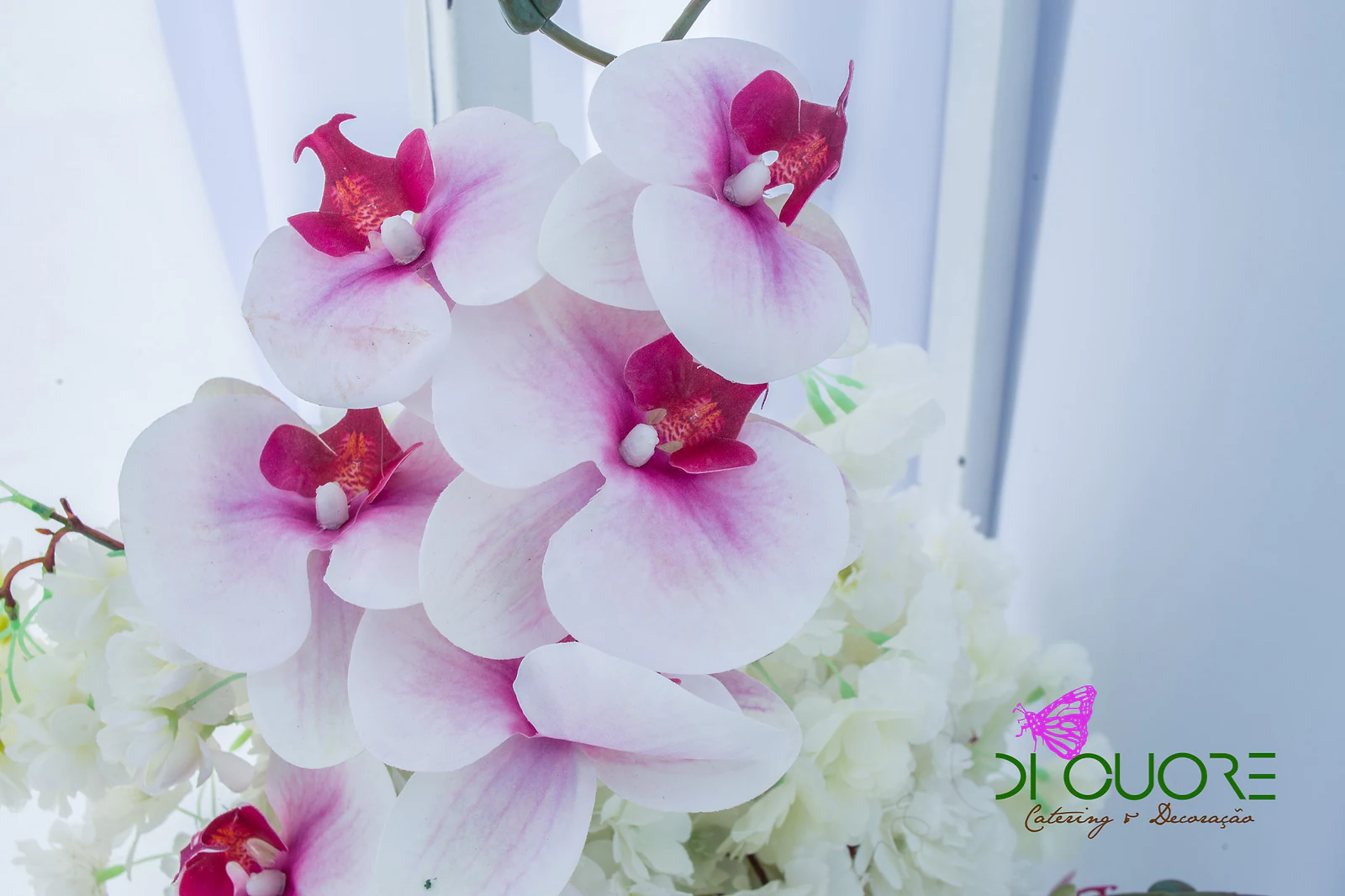 Close-up of white orchids with pink centres over white flowers