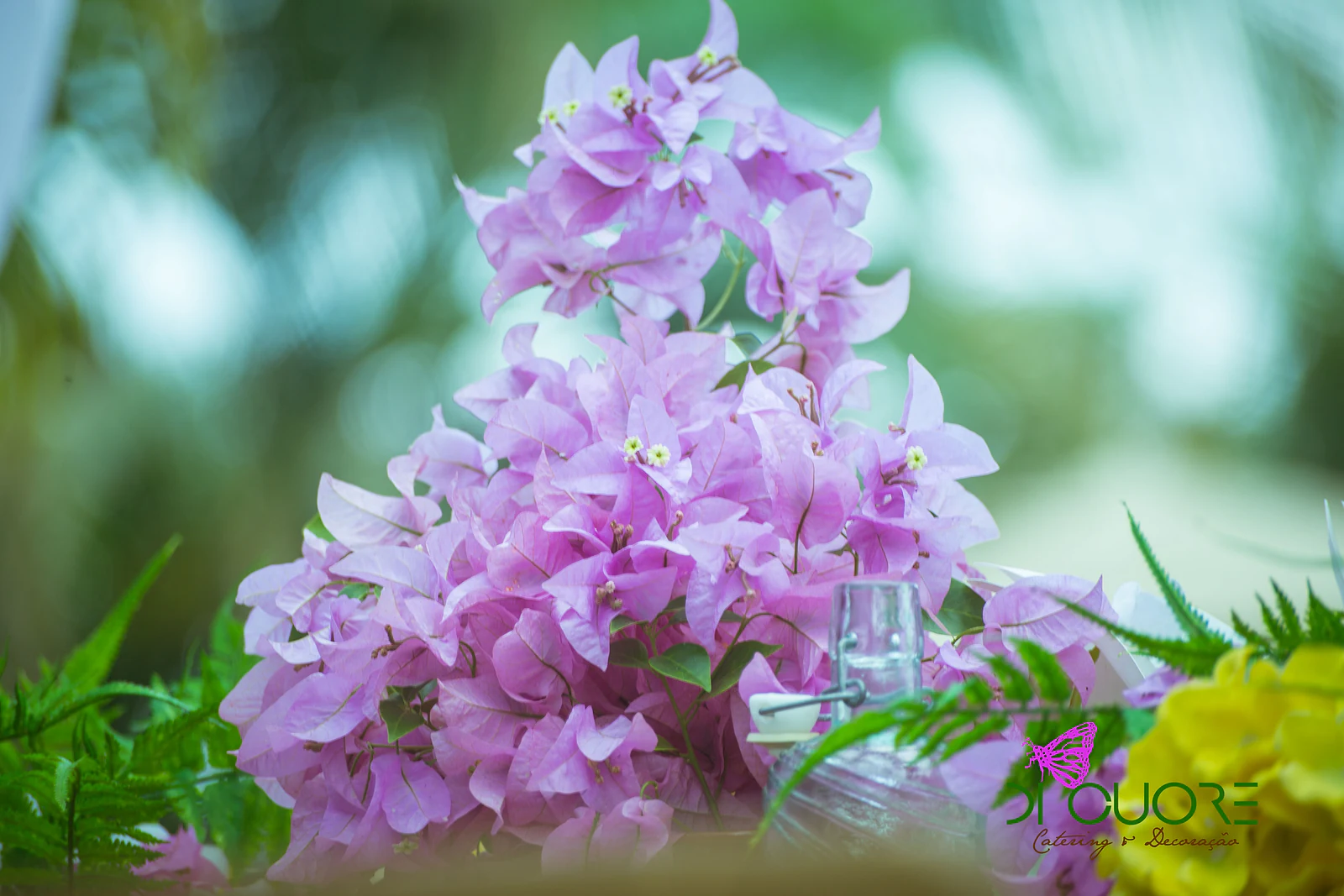 Cacho de buganvília lilás em primeiro plano, com um toque de orquídeas amarelas e fetos