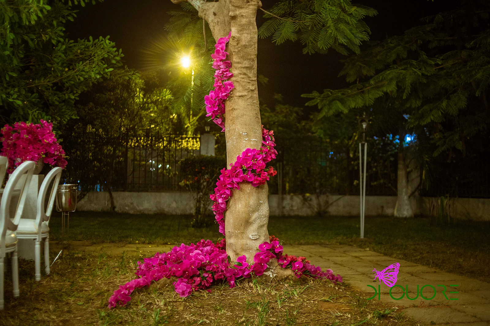 Tree trunk wrapped in fuchsia bougainvillea, with a carpet of petals on the grass and lights beyond