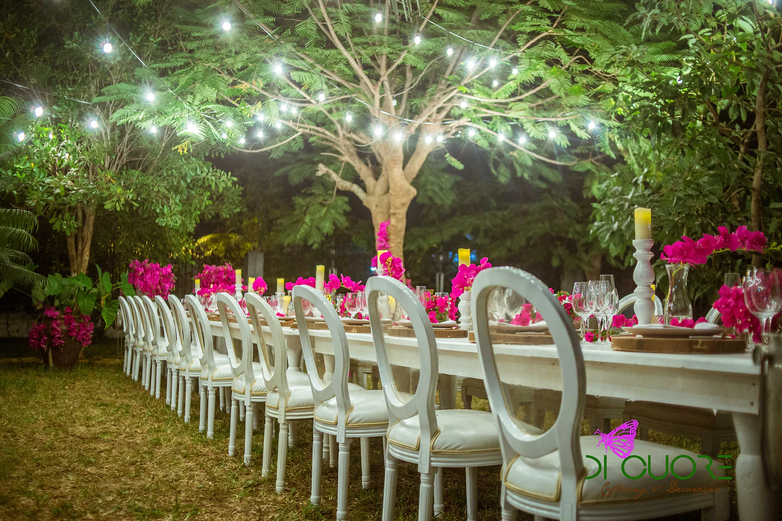 Row of white chairs along the laid table, beneath a tree strung with lights