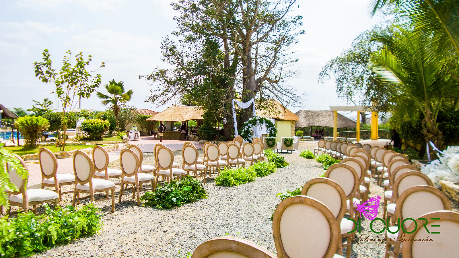 Gravel path between rows of wooden chairs with caned backs and beds of ferns, with a great tree and thatched huts behind