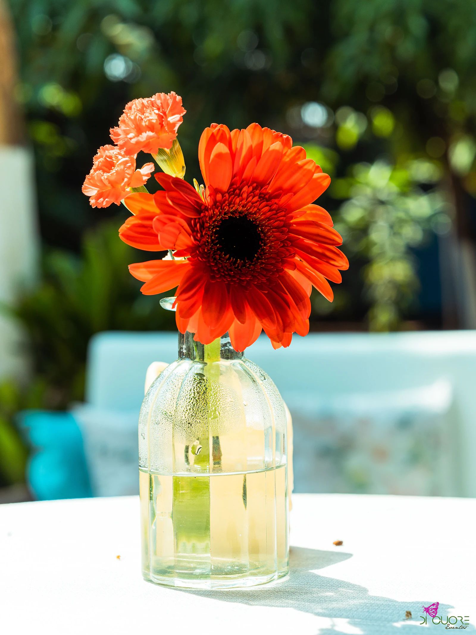 Gerbera laranja e cravos cor de salmão numa garrafa de vidro sobre uma mesa redonda de toalha branca, ao sol