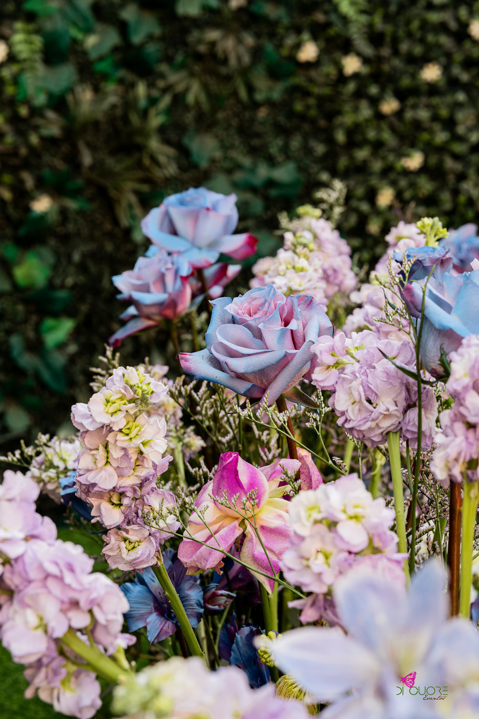 Pormenor de rosas azuladas e rosa, flores de espiga lilás e flores brancas, sobre fundo de folhagem escura