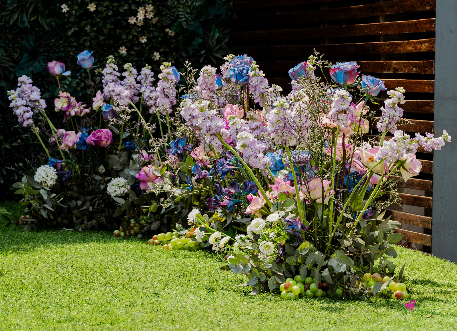 Canteiro de rosas, flores de espiga lilás e margaridas brancas sobre a relva, junto às ripas de madeira