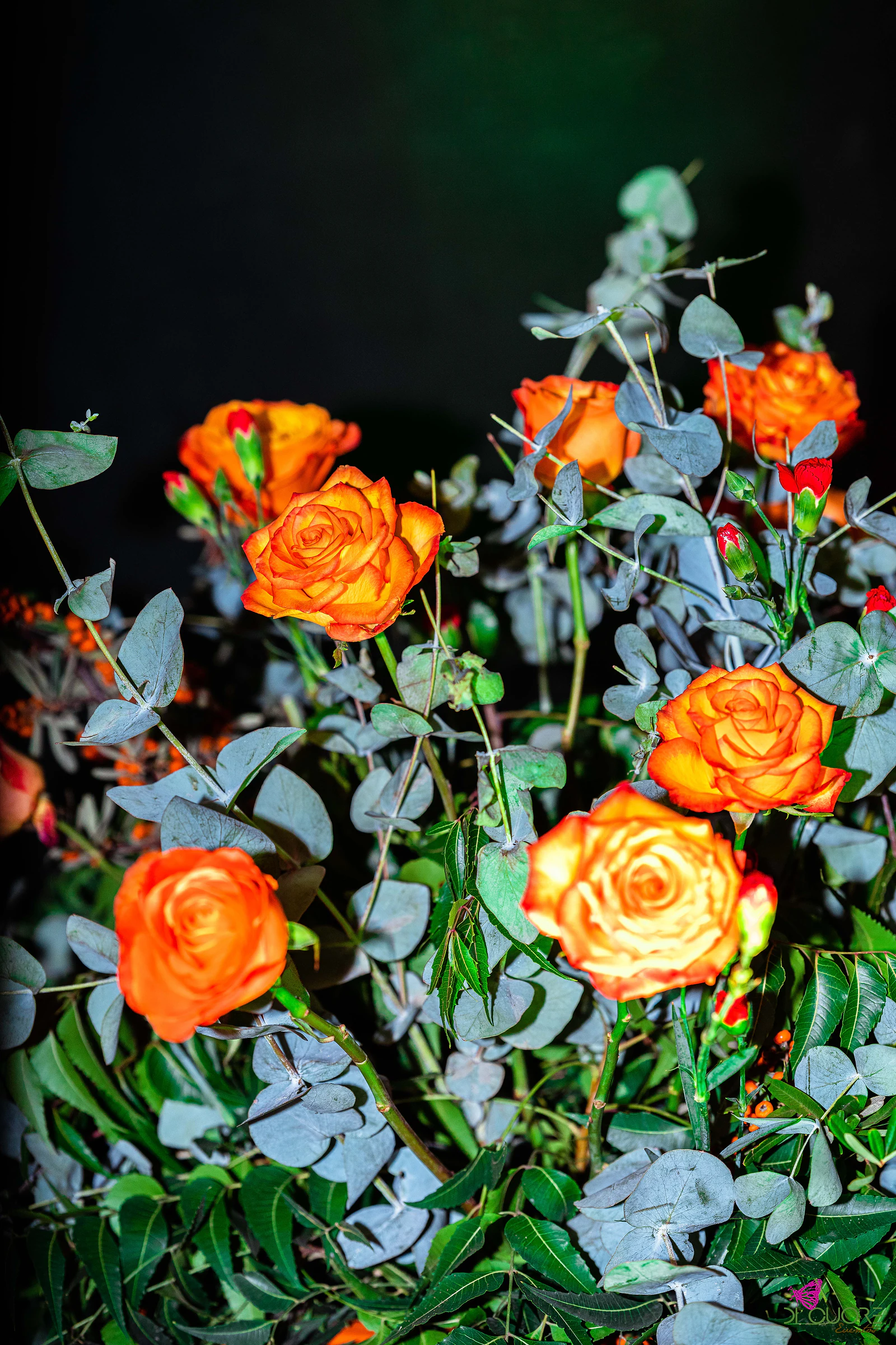 Rosas laranja com cravos vermelhos, eucalipto e folhagem sobre fundo escuro